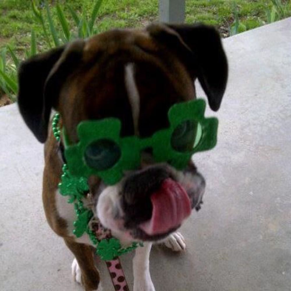 Meet your Posher, Aimee